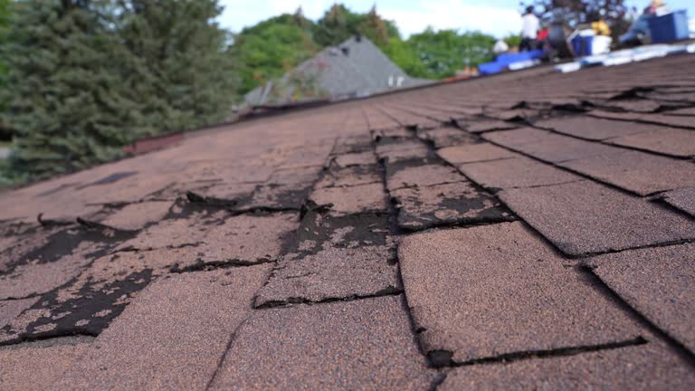 Best Commercial Roofing Services  in Kenly, NC