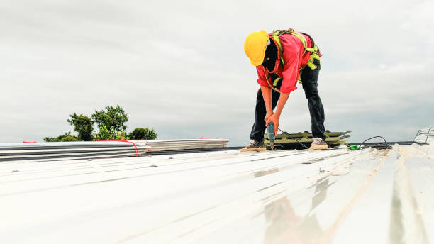 Best Asphalt Shingles Roofing  in Kenly, NC